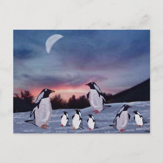 Pinguïns op ijsBriefkaarten Briefkaart (Voorkant)