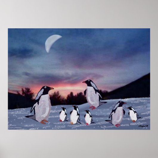 Pinguïns op ijsdruk poster (Voorkant)