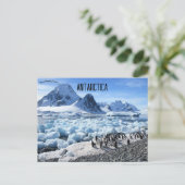 Pinguïns op Pourquoi Pas Island Antarctica Briefkaart (Staand voorkant)