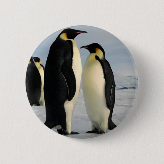 pinguïns-poop-uit-ruimte ronde button 5,7 cm (Voorkant)
