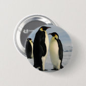 pinguïns-poop-uit-ruimte ronde button 5,7 cm (Voorkant /achterkant)