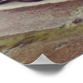 pinguïns poster (Hoek)