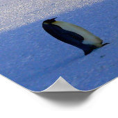 pinguïns poster (Hoek)