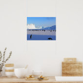 pinguïns poster (Keuken)
