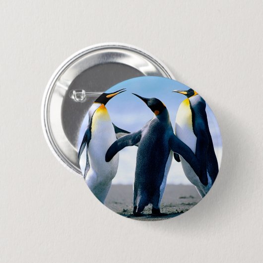pinguïns ronde button 5,7 cm (Voorkant /achterkant)
