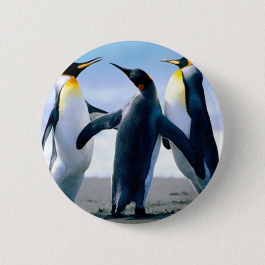 pinguïns ronde button 5,7 cm (Voorkant)