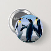 pinguïns ronde button 5,7 cm (Voorkant /achterkant)
