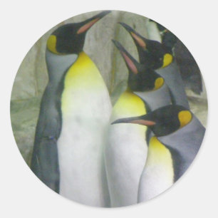 pinguïns, stickers