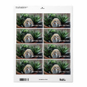 Pinguïns tekenen foto verzendlabels etiket (Full Sheet)