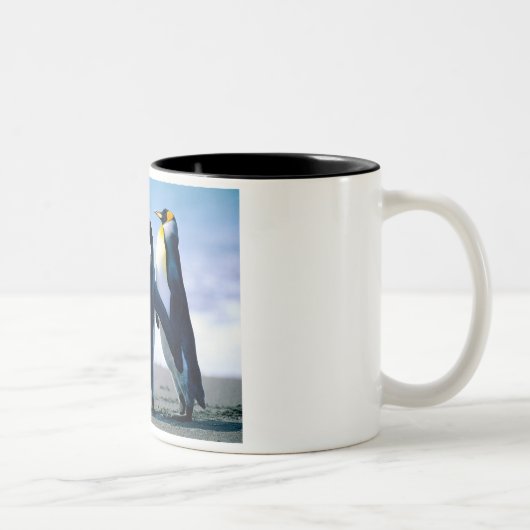 pinguïns tweekleurige koffiemok (Rechts)