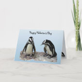 Pinguïns Valentijn Feestdagen Kaart (Voorkant)