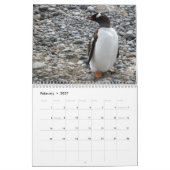 Pinguïns van Antarctica Kalender (Feb 2027)