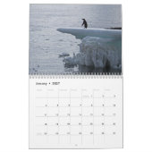 Pinguïns van Antarctica Kalender (Jan 2027)