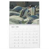 Pinguïns van Antarctica Kalender (Mar 2026)