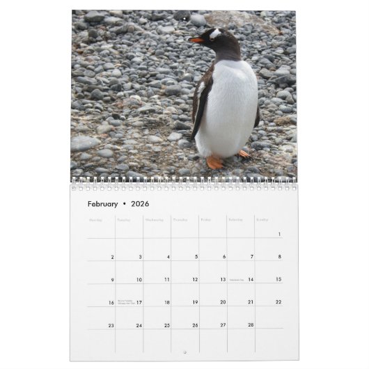 Pinguïns van Antarctica Kalender (Feb 2026)