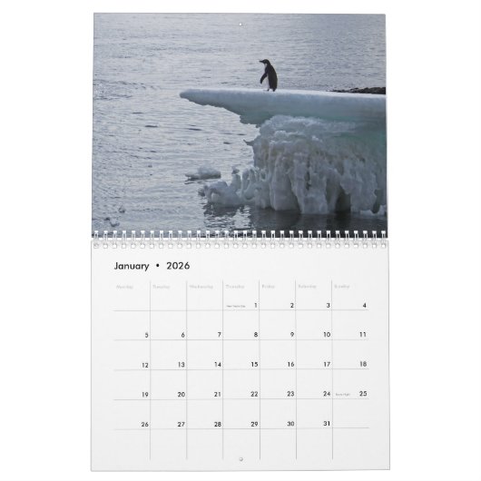 Pinguïns van Antarctica Kalender (Jan 2026)