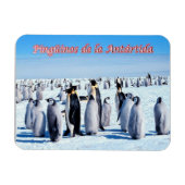 Pinguïns van Antarctica - Magneet (Horizontaal)