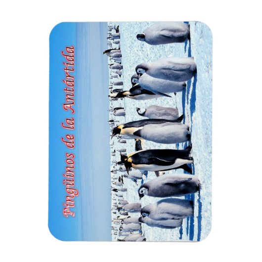 Pinguïns van Antarctica - Magneet (Verticaal)