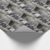 Pinguïns Verpakkingspapier Cadeaupapier (Hoek)