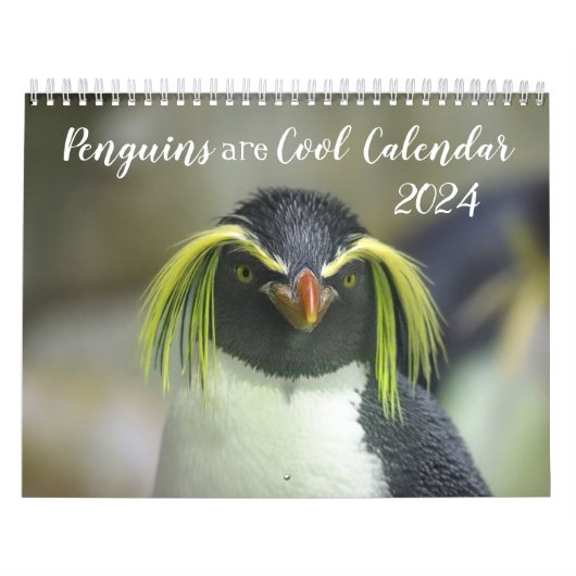 Pinguïns zijn Cool Calendar 2024 met Beschrijvinge Kalender (Hoes)