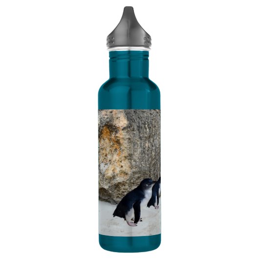 Pinguïnstrandhuis,   waterfles  (Links)