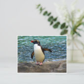 pinguïnvleugel briefkaart (Staand voorkant)