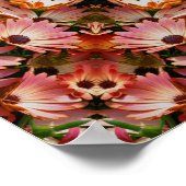Pink African Daisy Flowers Abstract Poster (Hoek)