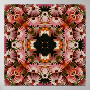Pink African Daisy Flowers Abstract Poster