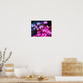 Pink African Daisy Flowers Abstract Poster (Keuken)