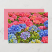 Pink and Blue Hydrangea Flowers Note Card Set Notitiekaartje (Voorkant / Achterkant)