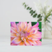 Pink and Cream Dahlia Briefkaart (Staand voorkant)