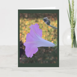 Pink and Gold Sparkle Morning Glory Blank  Kaart