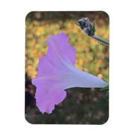 Pink and Gold Sparkle Morning Glory  Magneet