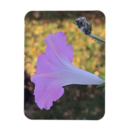 Pink and Gold Sparkle Morning Glory  Magneet (Verticaal)