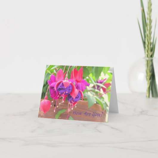 PINK AND PURPLE FUCHSIA CASCADING FROM CLAY POT KAART (Voorkant)