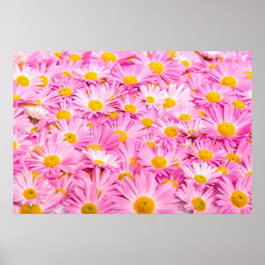 Pink and yellow flowers background poster (Voorkant)