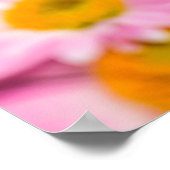 Pink and yellow flowers background poster (Hoek)