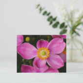 Pink Anemone Flower Briefkaart (Staand voorkant)