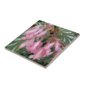 Pink Angel Wing Begonia Floral Tegeltje (Zijkant)