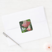 Pink Angels trompetbloemen Vierkante Sticker (Envelop)