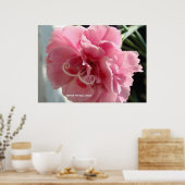 Pink Anjer Close-up Poster (Keuken)