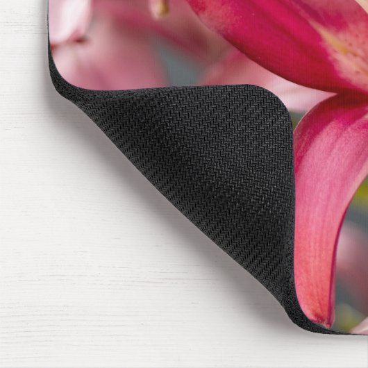 Pink Asiatic Lily, Botanical Flower Photo Muismat (Hoek)