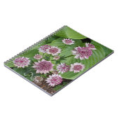 Pink Astrantia Blooms Floral Notitieboek (Linkerzijde)