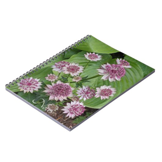 Pink Astrantia Blooms Floral Notitieboek (Linkerzijde)