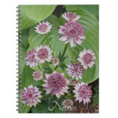 Pink Astrantia Blooms Floral Notitieboek (Voorkant)