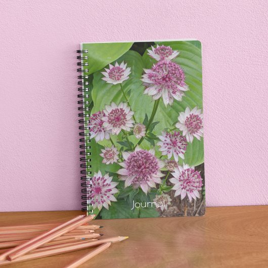 Pink Astrantia Blooms Floral Notitieboek