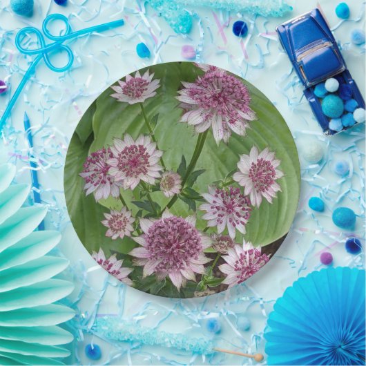 Pink Astrantia Blooms Floral Papieren Bordje (Feest)