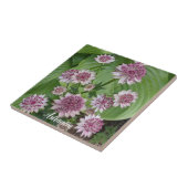 Pink Astrantia Blooms Floral Tegeltje (Zijkant)
