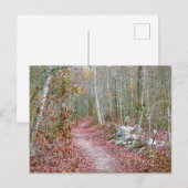 Pink Autumn Leaves Goat Rock Trail Arkansas Briefkaart (Voorkant / Achterkant)