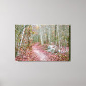 Pink Autumn Leaves Goat Rock Trail Arkansas Canvas Afdruk (Voorkant)